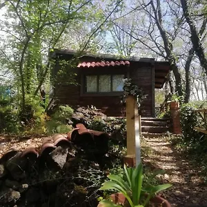 https://casetta-in-legno-tra-gli-alberi.sicilyhotelsitaly.net